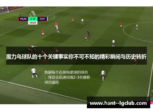 魔力鸟球队的十个关键事实你不可不知的精彩瞬间与历史转折 魔力鸟球队的十个关键事实你不可不知的精彩瞬间与历史转折